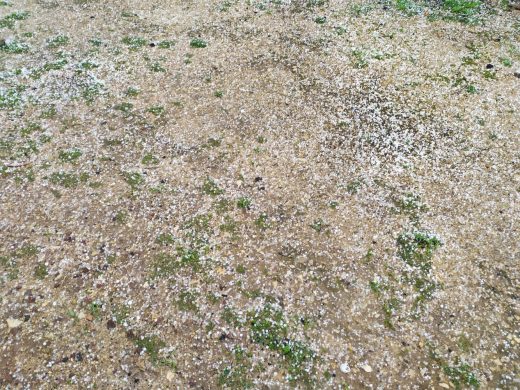 (Fotos) Una fuerte granizada descarga sobre Ciutadella