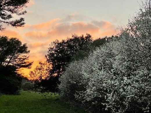 Llegan meses cálidos con temperaturas máximas que superarán los 11 grados. FOTO.- Lola Maiques