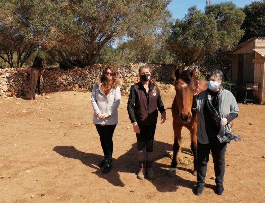 Asociación sin ánimo de lucro Trebaluger Equine Rescue Center