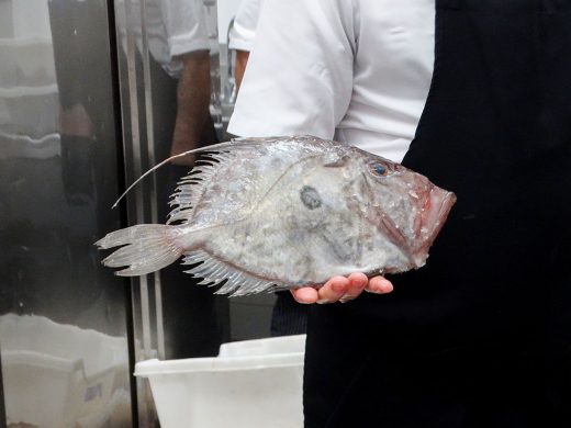 (Fotos) Culto al pescado de Menorca