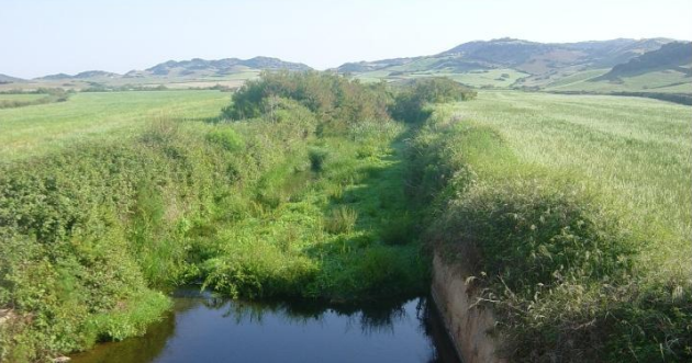 Torrente en el que han crecido zarzas