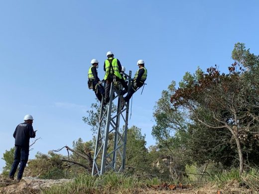 Operarios de Endesa trabajando en la red eléctrica