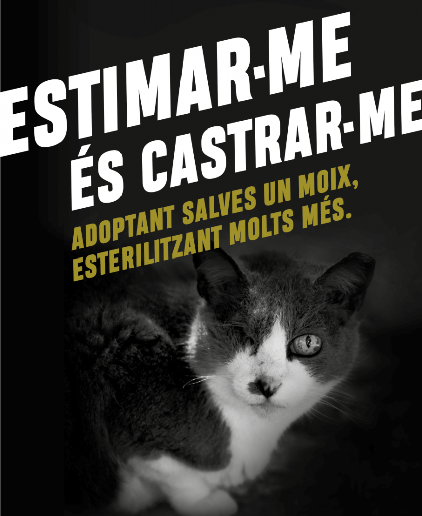 Cartel de la campaña