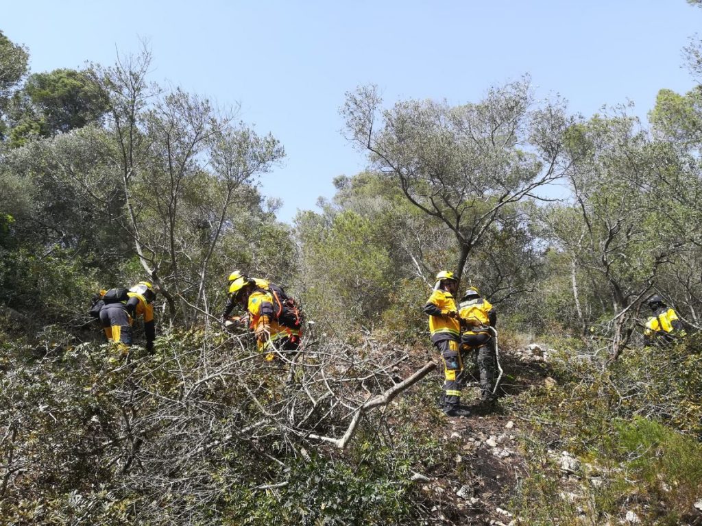 Efectivos trabajando esta tarde en Es Migjorn Gran (Foto: Ibanat)