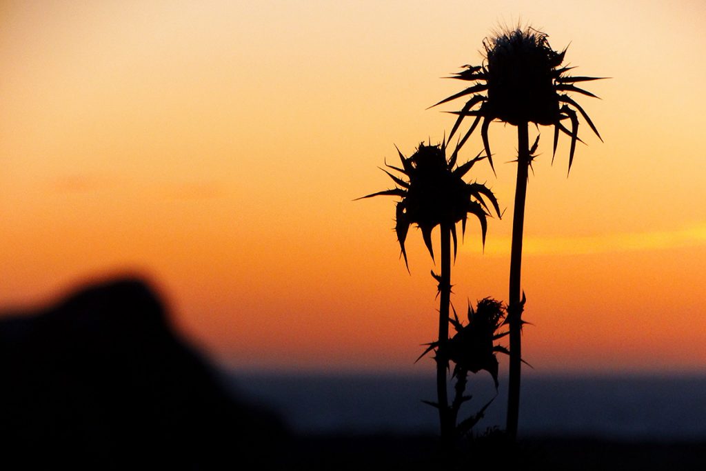 Puesta de sol en Ciutadella (Foto: Cris Ruiz)