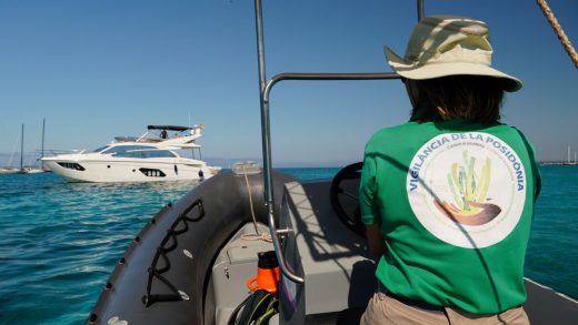 Vigilantes de los fondeos encima de las praderas de Posidonia