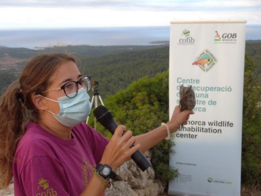 (Vídeo y fotos) Voluntarios liberan ocho búhos en Monte Toro