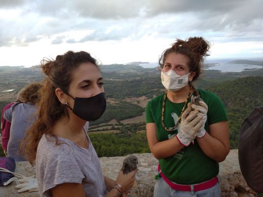 (Vídeo y fotos) Voluntarios liberan ocho búhos en Monte Toro