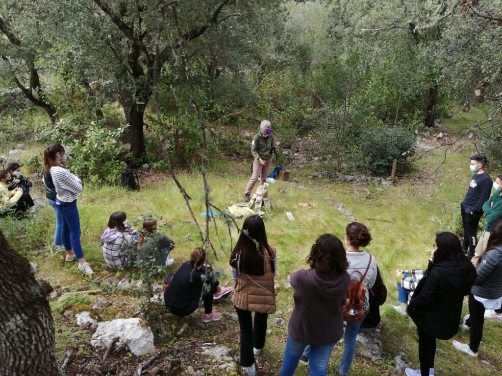 Conocer el bosque.