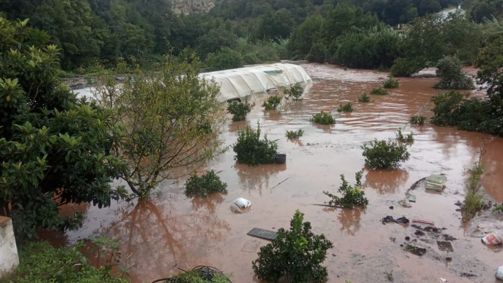 Barranc d'Algendar.