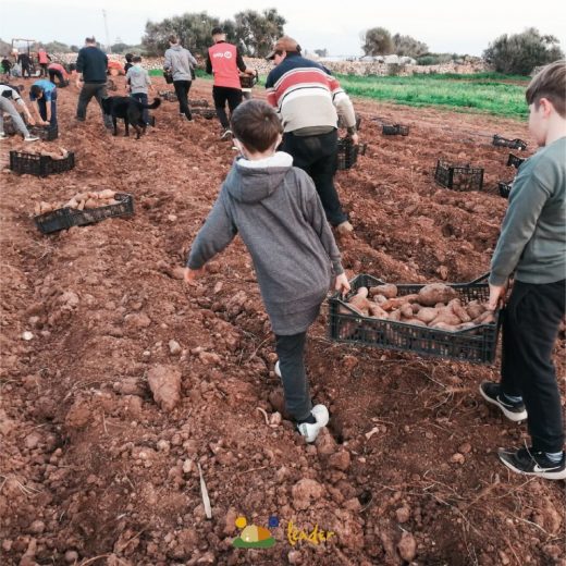 Los jóvenes conocieron el trabajo en el campo (Imagen de Associació Leader Illa de Menorca)