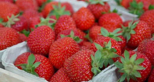 "Es dulzura gastronómica (fresas) y campestre (amapolas) y, al mismo tiempo es vida (la sangre, sin ir más lejos…) ¿hay algo más vital?"