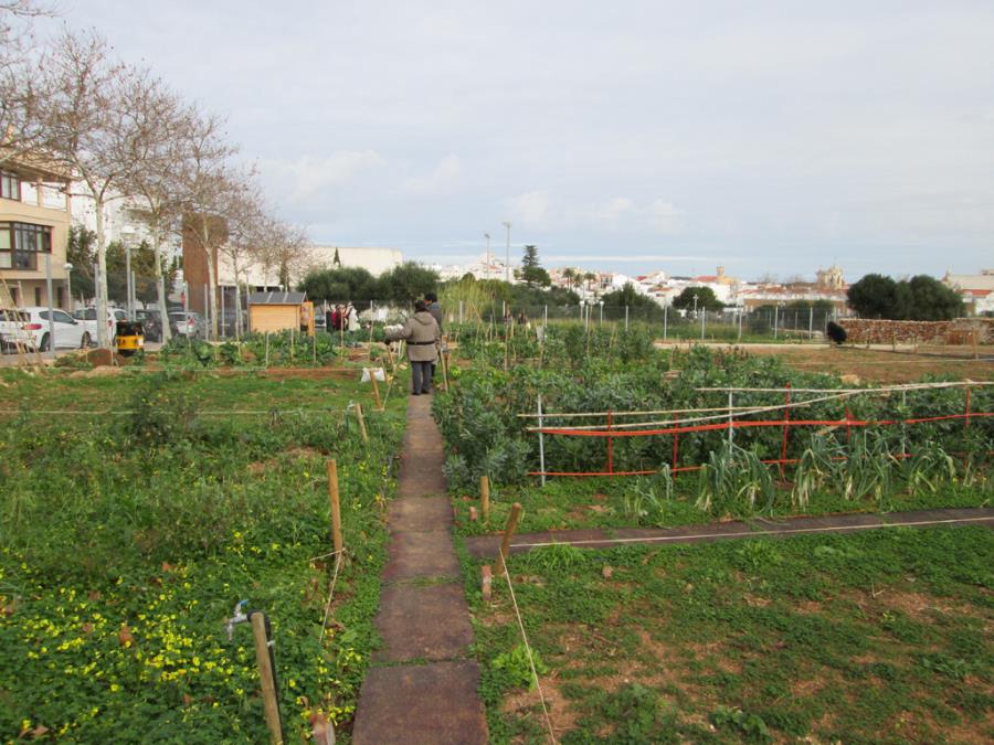 Huerto urbano.