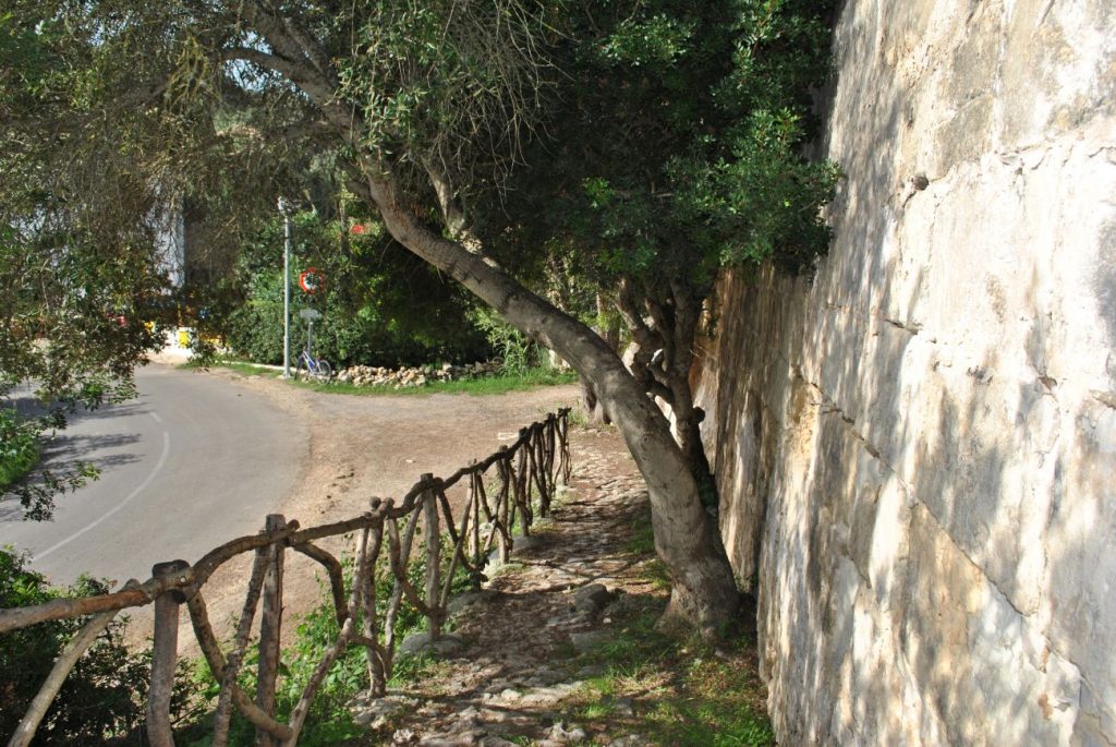 Se proponen algunas rutas para excursiones como el camino que va a la Cala San Esteban (Foto: EA)