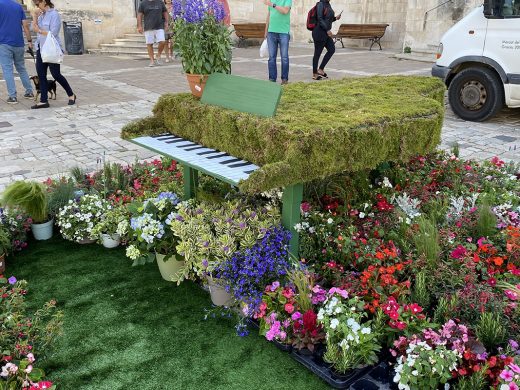 (Fotos) Maó se llena de flores