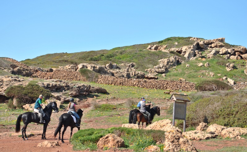 Caballos por el tramo del Camí de Cavalls que pasa por Pregonda (Foto: EA)