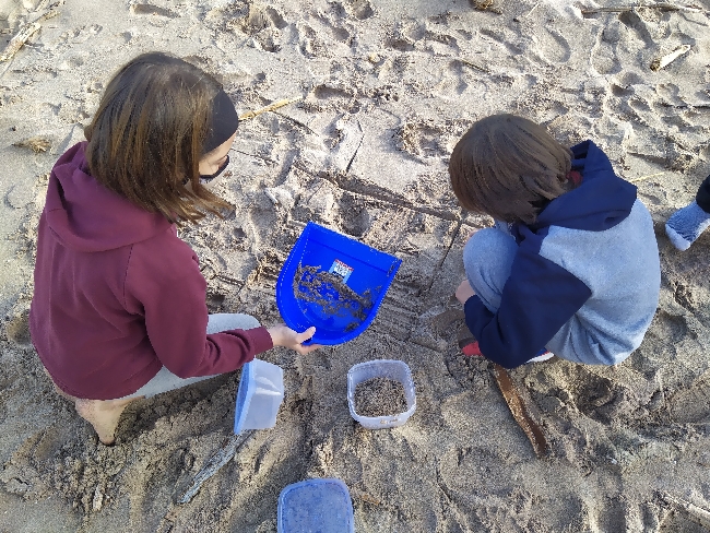 Estudiantes realizando un muestreo de arena (Foto: GOB Menorca)