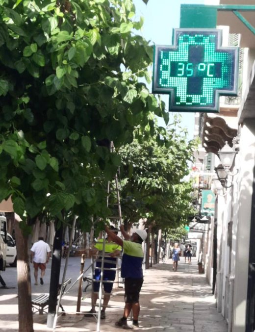 Termómetro de una farmacia Foto. Antxón Castresana