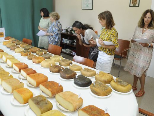 (Fotos) Finaliza la votación para elegir el mejor queso Mahón-Menorca Artesano 2022