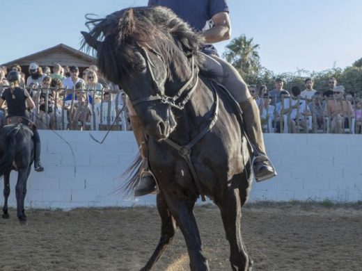 (Fotos y vídeo) El ‘replec’ de Ses Ramones, preludio de las fiestas de Sant Martí 2022