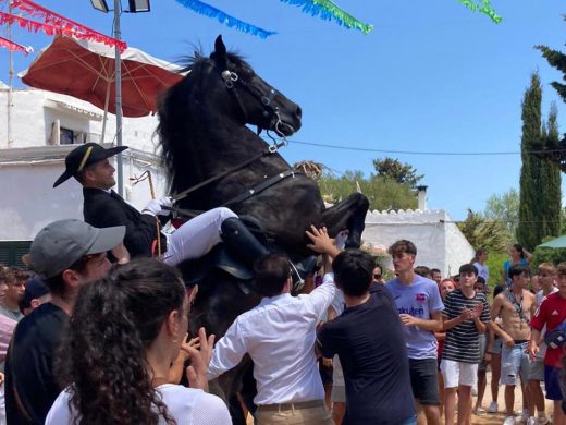 (Fotos) Los caballos vuelven a Llucmaçanes