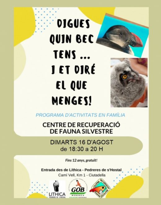 Taller en familia para descubrir las aves de Menorca