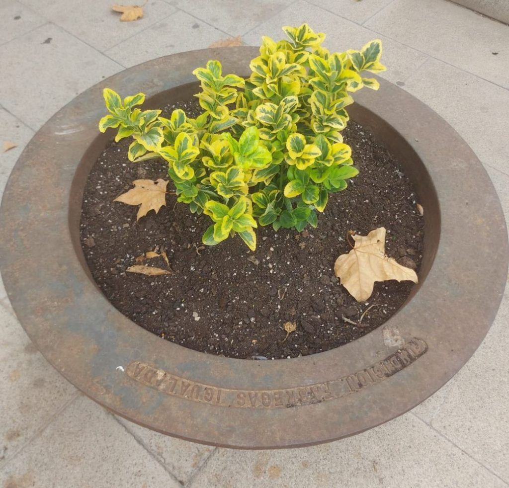 Jardinera en la calle Victori.