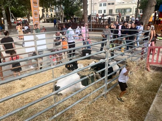 (Fotos) Una feria con mucho sabor