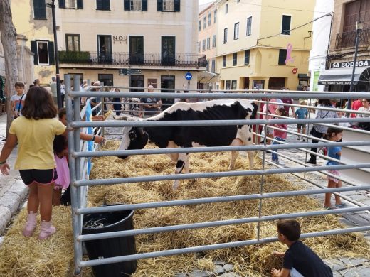 (Fotos) Una feria con mucho sabor