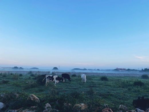 (Fotos) Menorca ha amanecido cubierta de niebla