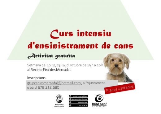 Formación para mejorar la convivencia entre animales, dueños y vecinos