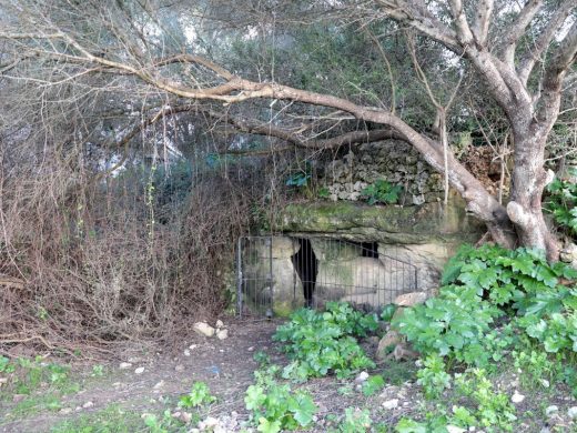 (Fotos) Descubren grabados de gran valor arqueológico en el hipogeo de Santa Anna