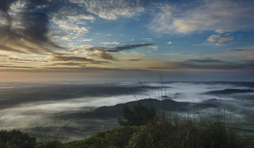 Niebla.