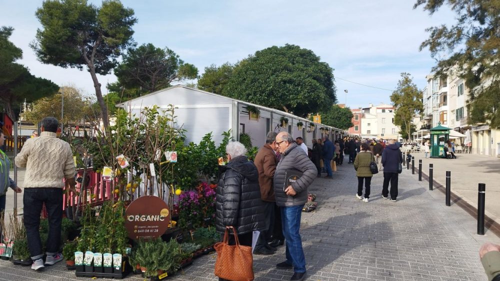 Plantas, quesos y artesanía.