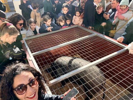 (Fotos) Gran afluencia de público en el ‘Mercat de Sant Antoni’