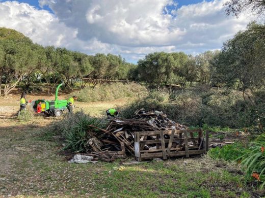 (Fotos) Es Castell limpia una zona de vertidos incontrolados de residuos en Son Vilar