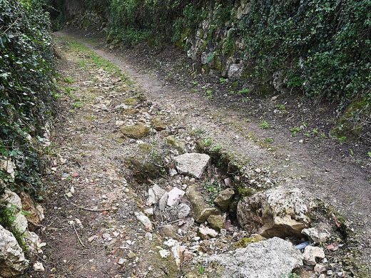 (Fotos) Desidia municipal en el Camí d’Alfavaret de Maó