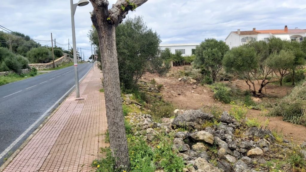 Zona en la que está trabajando la brigada municipal