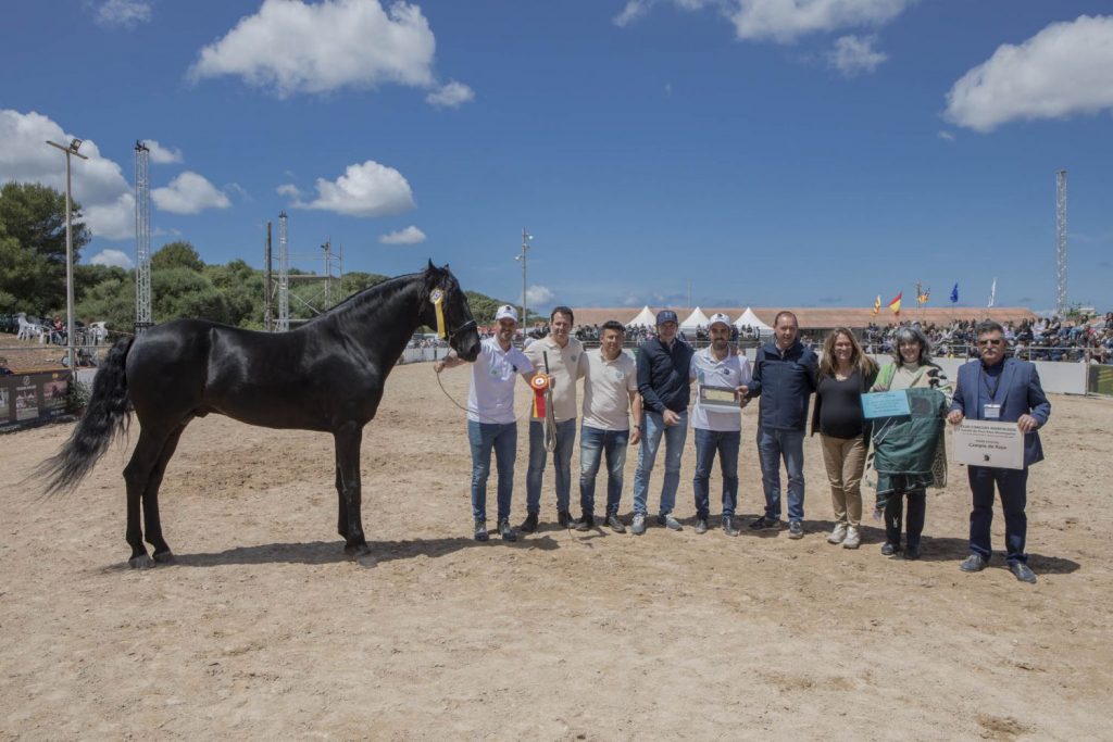 Campeón de raza.