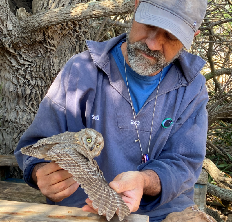 Anillando aves para el estudio de migración (Foto: Som Menorca y Menorca Preservation)