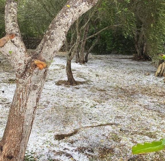 El granizo ha cubierto algunas zonas de Alaior (Foto: Antxon Castresana)