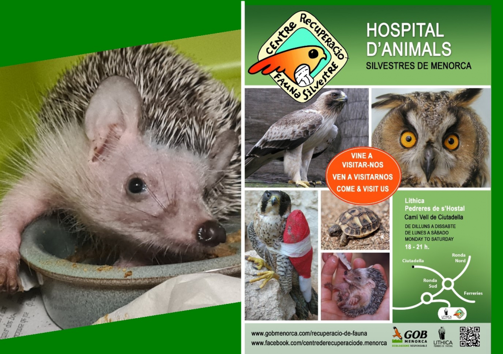 Cartel de l’Hospital d’Animals (Foto: GOB Menorca)