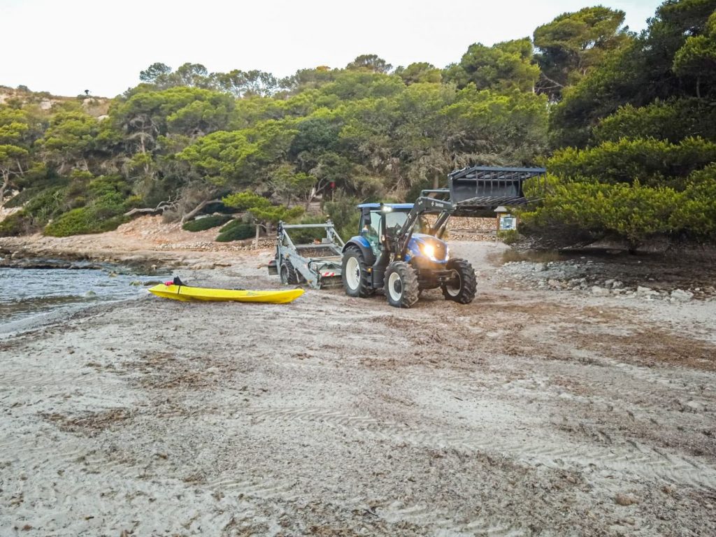 Más posidonia que en años precedentes.