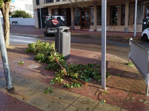 (Fotos) El temporal deja su huella en la Avenida Menorca