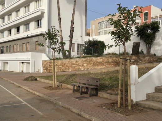 (Fotos) Centros educativos de Ciutadella se renuevan: más árboles para combatir el cambio climático