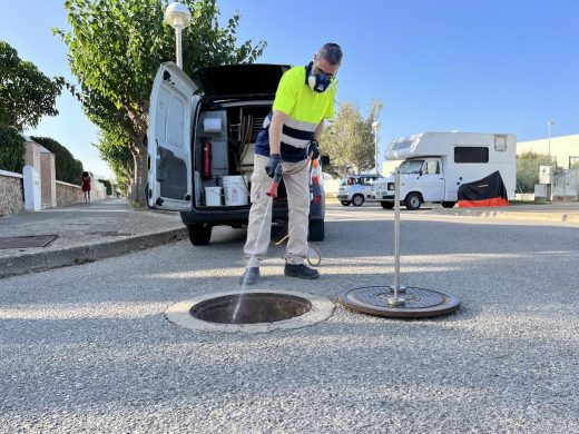 (Fotos) Nuevos adhesivos informarán sobre tratamientos de plagas en Maó