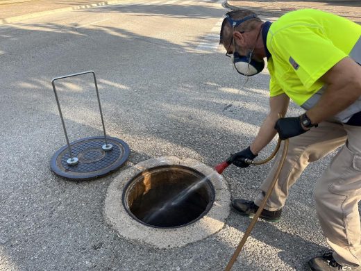 (Fotos) Nuevos adhesivos informarán sobre tratamientos de plagas en Maó