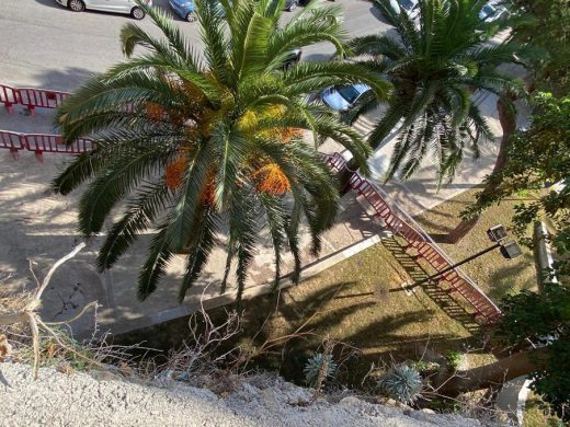 (Fotos) Cierran parte del Parc Rochina por un desprendimiento de piedras