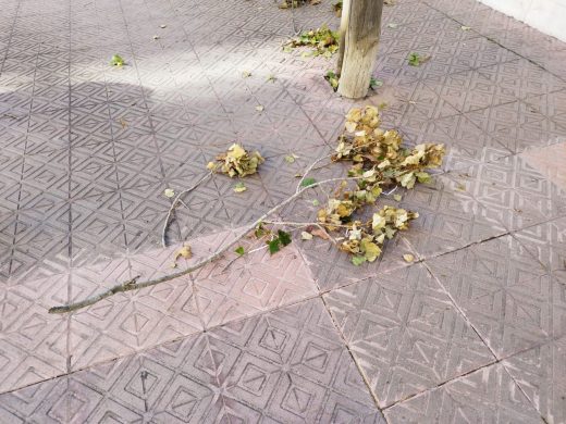 La borrasca Ciaran deja su huella en la Avenida Menorca