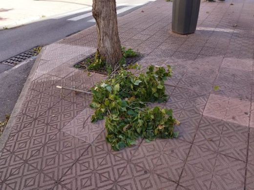 La borrasca Ciaran deja su huella en la Avenida Menorca